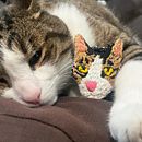 My project for course: Embroidered Pet Portraits: The Thread Painting Technique. Un progetto di Ricamo, Illustrazione naturalistica e Textile Design di Charlotte Christensson - 02.12.2023