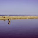 violeta ∞. Fotografia, Direção de arte, e Artes plásticas projeto de Pamela Paternina - 02.12.2023