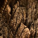 Mi proyecto del curso: Fotografía para principiantes: descubre tu cámara digital. Fotografia, Fotografia digital, e Composição fotográfica projeto de supernova_uk - 02.12.2023