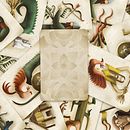 Card game . Desain, Ilustrasi Digital, Ilustrasi Anak-Anak, Dan Desain Game proyek oleh Ania Grudzińska - 12.04.2023