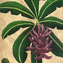 Meu projeto do curso: Pintura com tinta acrílica: crie peças coloridas e tropicais. Pintura, Pintura Acrílica e Ilustração naturalista projeto de kariina_t - 04.12.2023