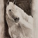 Watercolour Horse. Un progetto di Pittura ad acquerello di gloriaorchidea - 04.12.2023