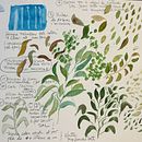 Mi proyecto del curso: Paisajes de ensueño con acuarela: plasma la luz. Projekt z dziedziny  Malarstwo i Malowanie akwarelą użytkownika Estel Baldó - 05.12.2023