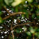 Mi proyecto del curso: Introducción a la fotografía digital . % Gabriel Quintana tarafından hazırlanan Fotoğrafçılık, Ve Dijital Fotoğrafçılık projesi - 12.05.2023