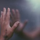 Sentir la vida de cerca por Nerea Cunillera Rivas  Ein Projekt aus dem Bereich Fotografie, Smartphonefotografie, Porträtfotografie, Artistische Fotografie und Fotografisches Selbstporträt von Nerea Cunillera Rivas - 07.12.2023