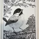 My project for course: Dip Pen and Ink Illustration: Capturing The Natural World. Un projet de Esquisse , Dessin, Dessin artistique, Carnet de croquis, Illustration à l'encre et Illustration naturaliste de jaadvm - 08.12.2023