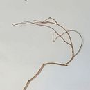 Lo que dejó la tormenta: mi proyecto del curso: Las leyes de la percepción visual: unidad, peso, equilibrio y movimiento. Un projet de Architecture, Direction artistique, Conseil créatif, Conception éditoriale, Beaux Arts, Design graphique , et Scénographie de Fabiana Sas - 05.12.2023