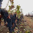 My project for course: Beginner’s Photography: Basic Camera Use and Theory. Photograph, Digital Photograph, and Photographic Composition project by teg2027 - 12.05.2023