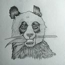 Mi proyecto del curso: Dibujo naturalista de animales con grafito. Un proyecto de Ilustración tradicional, Dibujo a lápiz, Dibujo e Ilustración naturalista				 de Juan Sebastián Gutierrez Torres - 11.12.2023