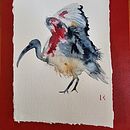 My project for course: Naturalist Watercolor with Expression and Personality. Un projet de Illustration traditionnelle, Aquarelle et Illustration naturaliste de lynnek - 14.12.2023