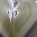 My project for course: Beginner’s Photography: Basic Camera Use and Theory. Een project van Fotografie, Digitale fotografie y Fotografische compositie van Milica Petrović - 14.12.2023