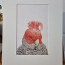 My project for course: Dip Pen and Ink Illustration: Capturing The Natural World. Drawing, Artistic Drawing, Sketchbook, Naturalistic Illustration, Sketching & Ink Illustration project by judy_kahl - 12.17.2023