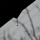 Lluvia . % Gabriela Sánchez tarafından hazırlanan Fotoğrafçılık projesi - 12.18.2023