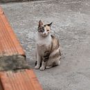 Mi proyecto del curso: Fotografía para principiantes: descubre tu cámara digital. Fotografia, Fotografia digital, e Composição fotográfica projeto de Laura Nataly Amaya Bayona - 20.12.2023