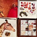 My project for course: Watercolor Illustration: Painting Realistic Wildlife. Een project van  Beeldende kunst, Schilderij, Aquarelschilderen y Naturalistische illustratie van taniaocampo - 23.12.2023