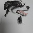 My project for course: Pet Portraits in Colored Pencils . Ilustrasi tradisional, Ilustrasi Naturalistik, Dan Menggambar proyek oleh Pavla Hranova - 12.23.2023