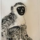 My project for course: Animal Illustration with Charcoal and Ink. Un progetto di Belle arti, Disegno, Illustrazione con inchiostro e Illustrazione naturalistica di deanne117 - 26.12.2023