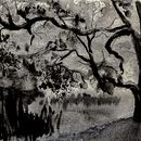 Paisajes. Een project van Aquarelschilderen y Traditionele illustratie van carlosprzcontreras - 27.12.2023