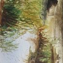 Mi proyecto del curso: Paisajes naturales en acuarela. Un proyecto de Bellas Artes, Pintura y Pintura a la acuarela de Isabel Villagran - 16.12.2023