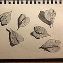 My project for course: Illustrated Diary: Fill Your Sketchbook with Experiences. Projekt z dziedziny Trad, c, jna ilustracja, Sketching,  R, sunek, Sketchbook,  R i sunek atramentem użytkownika marymagdaleneandres - 29.12.2023