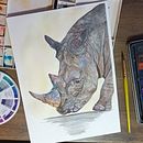 My project for course: Watercolor Illustration: Painting Realistic Wildlife. Pintura em aquarela e Ilustração naturalista projeto de Elaine Leff - 29.12.2023