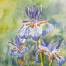 Irises for Mom . Seni Rupa & Ilustrasi tradisional proyek oleh Kelsey Carnell - 12.18.2023