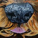 Dogs. Pintura projeto de Fiona Stevens - 31.12.2023