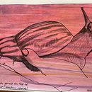 My project for course: Illustrating Nature: A Creative Exploration. Un proyecto de Ilustración tradicional, Pintura, Dibujo, Pintura a la acuarela, Ilustración con tinta e Ilustración naturalista				 de Sharon Tayfield - 31.12.2023