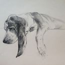 My project for course: Expressive Drawing with Charcoal. Un proyecto de Bellas Artes, Dibujo, Dibujo de Retrato e Ilustración naturalista				 de Nataliya Dubikova - 01.01.2024