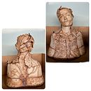 My project for course: Introduction to Clay Figurative Sculpture. Un projet de Beaux Arts , et Sculpture de vsmith44 - 01.01.2024