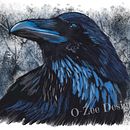 Animals Ein Projekt aus dem Bereich Digitale Illustration und Bildende Künste von Zoe Jones - 02.01.2024