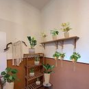 Mój projekt z kursu: Podstawy aranżacji wnętrz: dekorowanie roślinami. Un projet de Design d'intérieur, Pa, sagisme, Décoration, Décoration d'intérieur, DIY, Art floral et végétal , et Design d'espace de celestyna6 - 03.01.2024