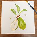 Mi proyecto del curso: Ilustración botánica realista: conecta con la naturaleza Ein Projekt aus dem Bereich Malerei, Aquarellmalerei, Botanische Illustration und Naturalistische Illustration von sguinandramirez - 01.01.2024