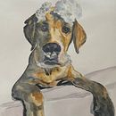 Mein Abschlussprojekt für den Kurs: Ausdrucksstarke Tierporträts in Aquarell . % Damaris Daehne tarafından hazırlanan Geleneksel illüstras, on, Sulubo, a Resim, Doğalcı İllüstras, on, Ve Gerçekçi Çizim projesi - 01.04.2024