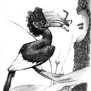 Hornbill. Desenho a lápis projeto de jmailhot236 - 05.01.2024