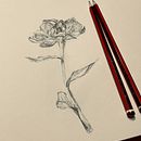 My project for course: Contemporary Botanical Illustration with Ink. Un proyecto de Ilustración tradicional, Dibujo artístico, Ilustración botánica e Ilustración con tinta de Wendy Violet Sinden - 06.01.2024