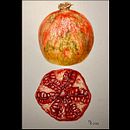 Mein Abschlussprojekt für den Kurs: Botanisches Aquarell: Illustriere Kunst und Wissenschaft. Traditional illustration, Fine Arts, Painting, Drawing, Watercolor Painting, and Botanical Illustration project by malte_ross - 01.06.2024