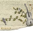 Violín florecido. Un proyecto de Collage de Inés Pina Pérez - 06.01.2024