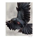 Mi proyecto del curso: Ilustración naturalista con bolígrafo. Un proyecto de Ilustración tradicional, Dibujo, Dibujo realista e Ilustración naturalista				 de Bianca Morocho - 07.01.2024