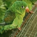 De visita por un pueblo.. Photograph, L, scape Architecture, and Outdoor Photograph project by Ian Ponce - 01.07.2024