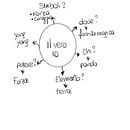 Il mio progetto del corso: Illustrazione fantasy di animali per principianti . Ilustrație tradițională, Desen, Ilustrație digitală, Desen digital și Pictură digitală de Sara - 01.07.2024