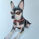 Mi proyecto del curso: Retratos de Mascotas en Lápices de Colores   . % Lucila Obholz tarafından hazırlanan Geleneksel illüstras, on, Doğalcı İllüstras, Ve on projesi - 01.05.2024