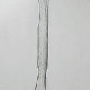 Meu projeto do curso: Desenho anatômico com lápis grafite para iniciantes. Fine Arts, Pencil Drawing, Drawing, Realistic Drawing, and Figure Drawing project by Juliano Froder - 01.07.2024