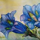 Il mio progetto del corso: Illustrazione botanica con acquerello. Un projet de Illustration traditionnelle, Beaux Arts, Peinture, Dessin, Aquarelle et Illustration botanique de Floriana Prattichizzo - 08.01.2024