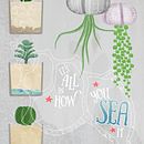 Ocean Terrariums Poster. Traditional illustration, Botanical Illustration, Digital Illustration, Poster Design, Watercolor Painting, Stationer, and Design project by Britta Nagy - 01.15.2015