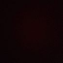 Las nutrias. Design, Artes plásticas, Design gráfico, Criatividade, e Sketchbook projeto de Sebastian Andree Santana Marriott - 01.03.2024