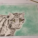 Mein Abschlussprojekt für den Kurs: Realistische Tierbilder in Graphitstift. Un progetto di Belle arti, Disegno a matita, Disegno, Disegno realistico e Illustrazione naturalistica di sabrina_dragons - 14.01.2024