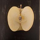 Il mio progetto del corso: Acquerello botanico: illustra arte e scienza. Projekt z dziedziny Trad, c, jna ilustracja,  Sztuki piękne,  Malarstwo,  R, sunek, Malowanie akwarelą, R i sunek botaniczn użytkownika g_littardi - 14.01.2024