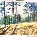 My project for course: Dreamy Watercolor Landscapes: Paint with Light. Un projet de Peinture , et Aquarelle de Wei CHEN_FUSIER - 15.01.2024