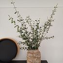 Mi proyecto del curso: Objetos hechos con pulpa de papel . % asutugan tarafından hazırlanan Sanat ve El Sanatları, Ürün Tasarımı, Kağıt El Sanatları, Dekoras, on, Seramikler, Kendin Yap, Ve Geri dönüşüm projesi - 01.15.2024